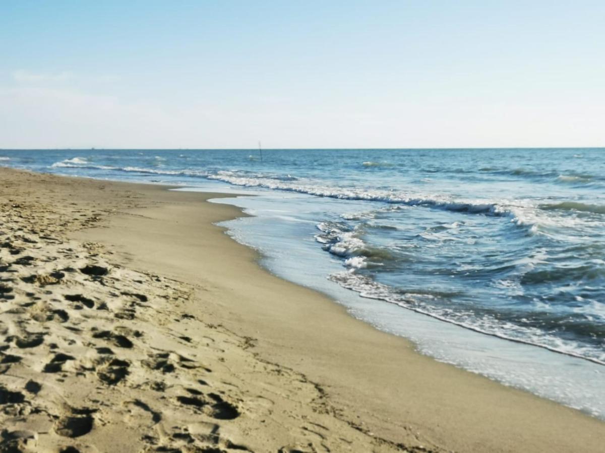 Appartamento In Villa A Tirrenia, Eleganza E Comfort A Pochi Passi Dal Mare ピサ エクステリア 写真